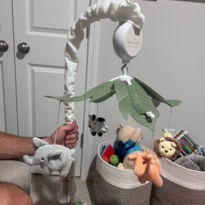 Peanutshell safari mobile